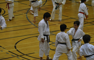 Camp Été 2010