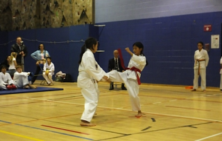 Compétition régionale 2013