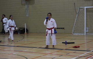 Coupe Quebec 2014