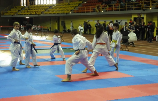 Coupe Marc Hamon