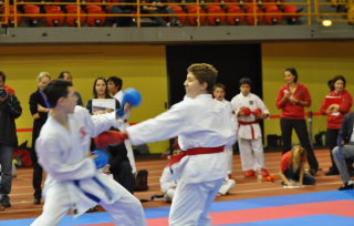 Coupe Marc Hamon