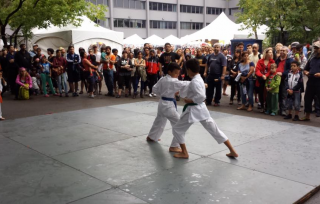 Matsuri