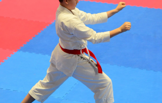 Coupe du Québec 2018