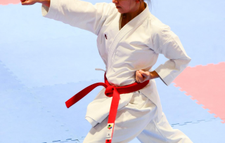 Coupe du Québec 2018