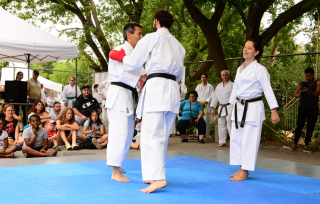 Matsuri 2019
