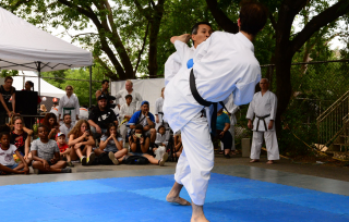 Matsuri 2019