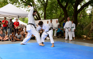 Matsuri 2019