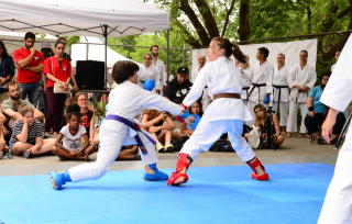 Matsuri 2019