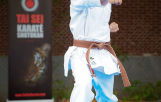 Matsuri 2019